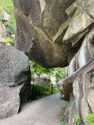 f:id:kayoroom557:20220814161208j:image