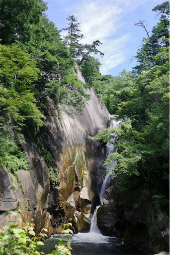 f:id:kayoroom557:20220814161227j:image