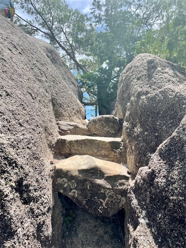 f:id:kayoroom557:20220814162052j:image