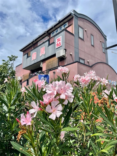 f:id:kayoroom557:20220814172652j:image