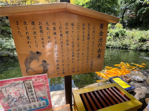 f:id:kayoroom557:20220814172709j:image