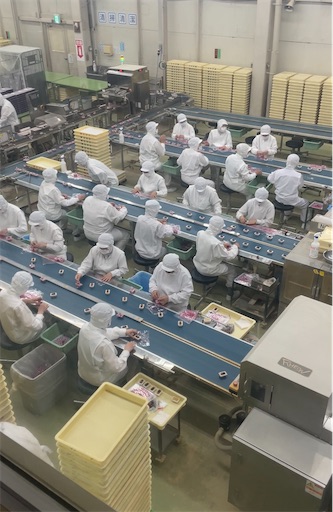 f:id:kayoroom557:20220815092353j:image