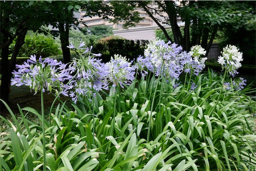 f:id:kayoroom557:20220824220610j:image