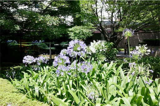 f:id:kayoroom557:20220824220627j:image