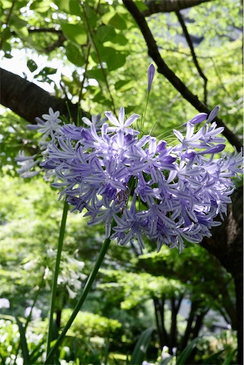 f:id:kayoroom557:20220824220656j:image