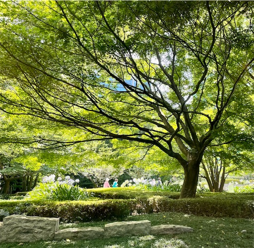 f:id:kayoroom557:20220826083446j:image