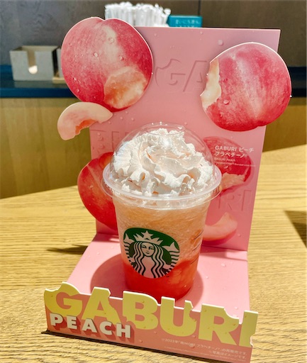 f:id:kayoroom557:20230726070705j:image