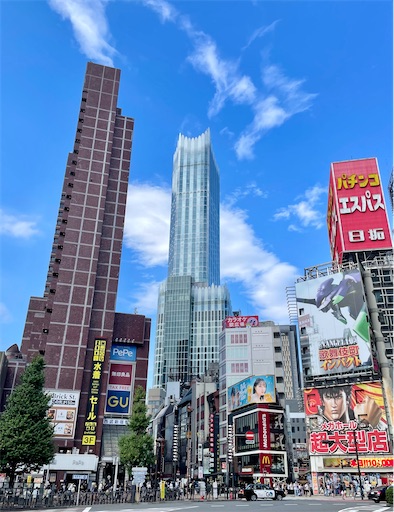 f:id:kayoroom557:20230914204115j:image