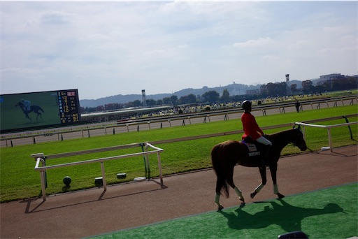 f:id:kayoroom557:20231126200225j:image