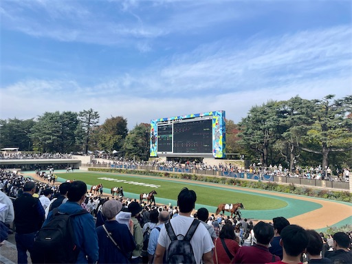 f:id:kayoroom557:20231126200228j:image