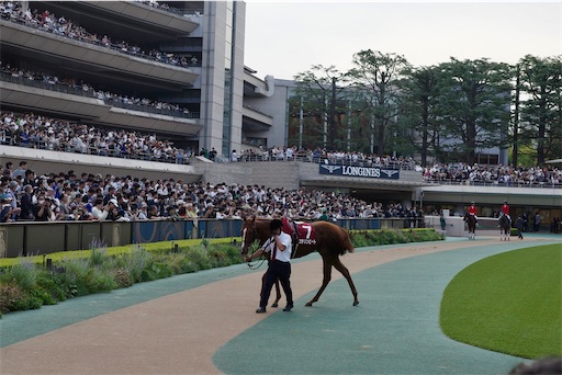 f:id:kayoroom557:20231126200234j:image