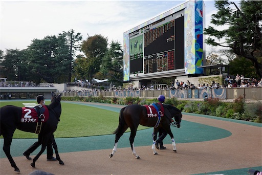 f:id:kayoroom557:20231126200240j:image