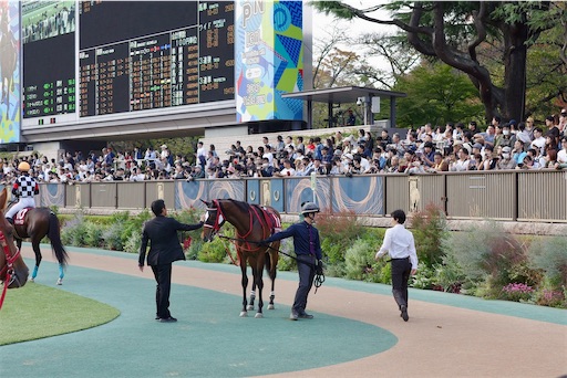 f:id:kayoroom557:20231126200250j:image