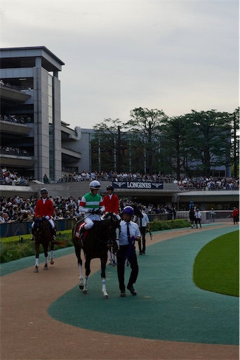 f:id:kayoroom557:20231126200256j:image