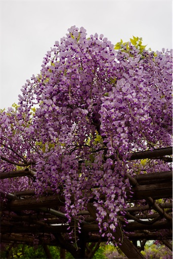 f:id:kayoroom557:20240501200431j:image f:id:kayoroom557:20240501200431j:image