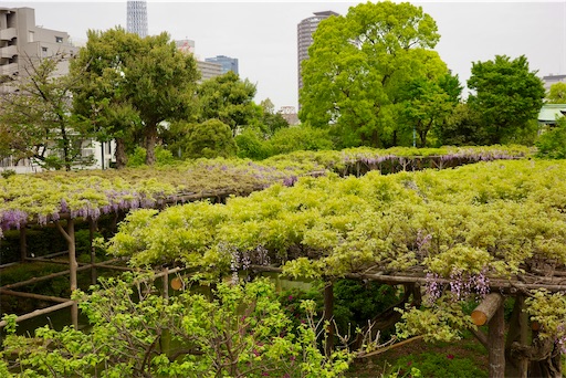 f:id:kayoroom557:20240501200434j:image f:id:kayoroom557:20240501200434j:image