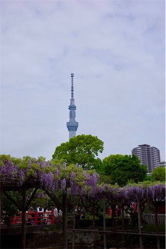 f:id:kayoroom557:20240501200437j:image f:id:kayoroom557:20240501200437j:image