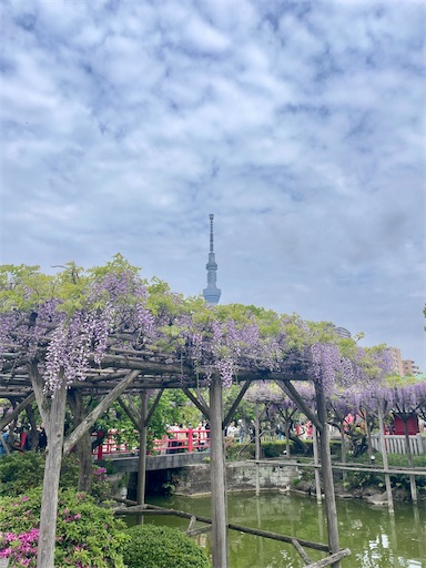 f:id:kayoroom557:20240501200447j:image f:id:kayoroom557:20240501200447j:image