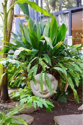 f:id:kayoroom557:20240626102308j:image