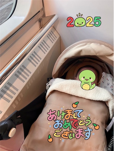 f:id:kayoroom557:20250103231930j:image