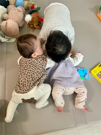 f:id:kayoroom557:20250202223407j:image