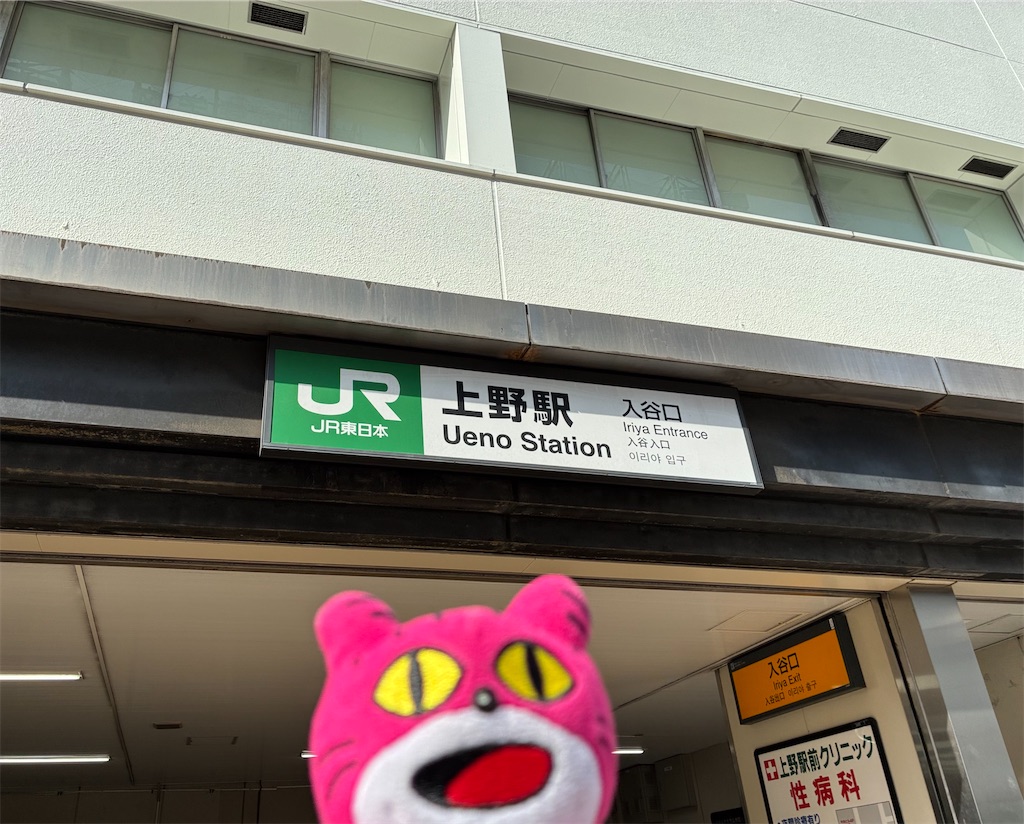 f:id:kayoubinoyoru:20260215144947j:image