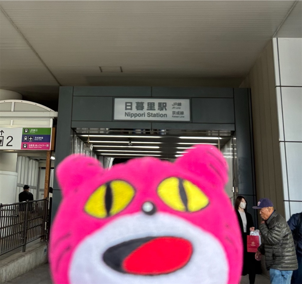 f:id:kayoubinoyoru:20260215145033j:image