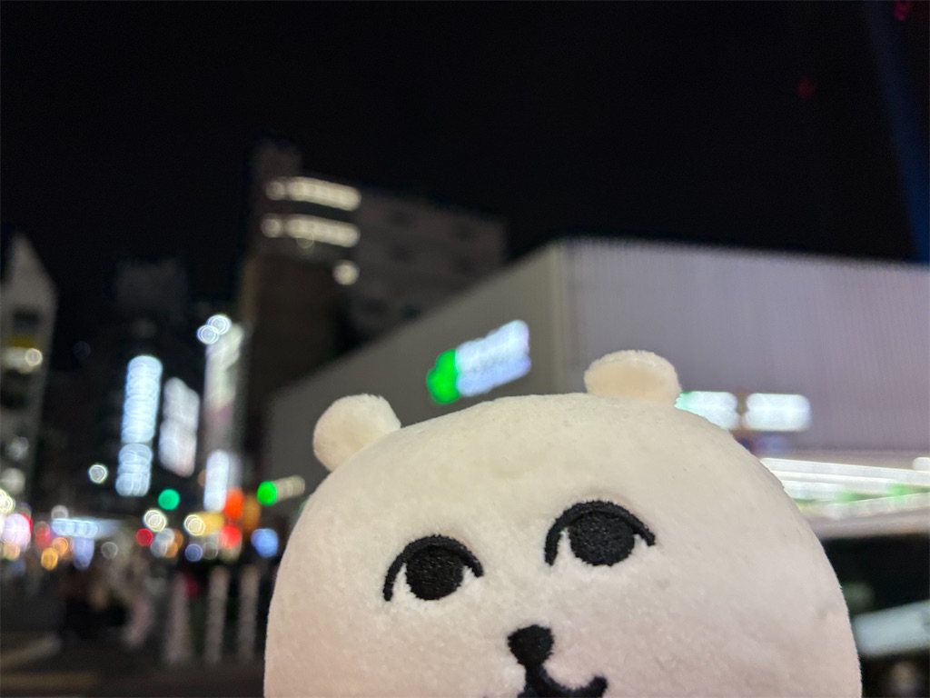 f:id:kayoubinoyoru:20260216175316j:image
