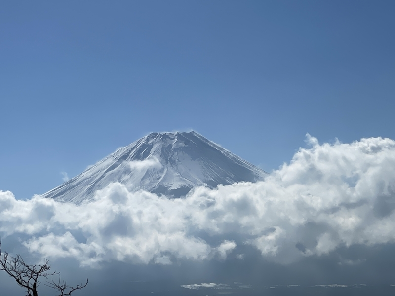 f:id:kayoutozan:20210401193603j:plain