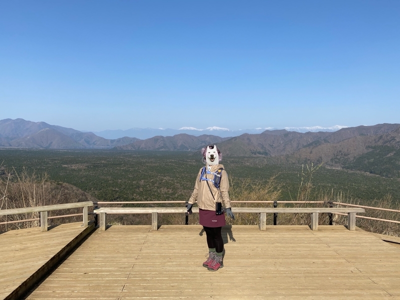 f:id:kayoutozan:20210425130724j:plain