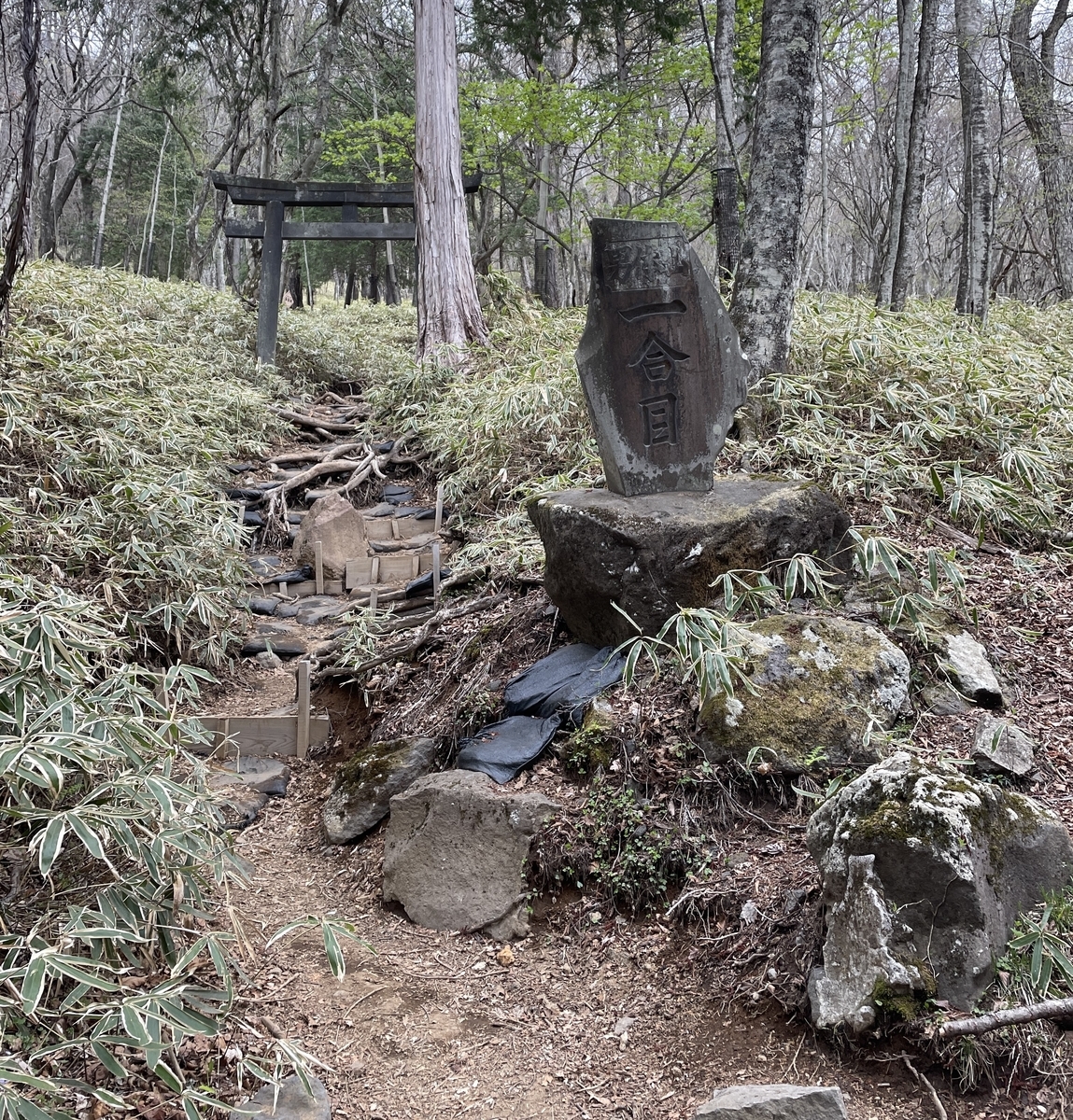 f:id:kayoutozan:20210516205642j:plain