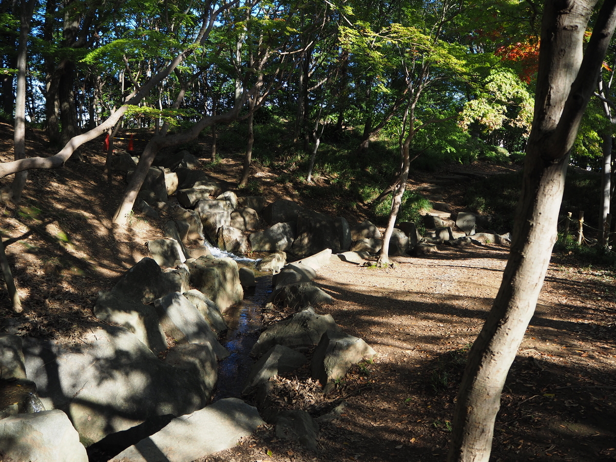 f:id:kayukiren:20191108212211j:plain f:id:kayukiren:20191108212211j:plain