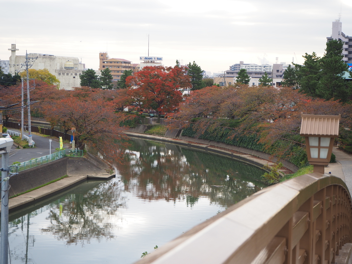 f:id:kayukiren:20191114001603j:plain f:id:kayukiren:20191114001603j:plain