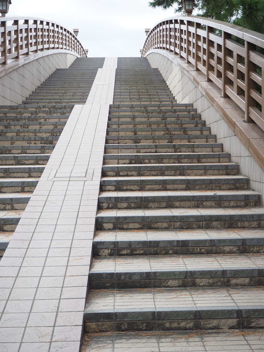 f:id:kayukiren:20191114223839j:plain f:id:kayukiren:20191114223839j:plain