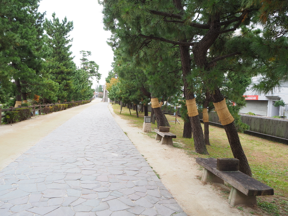 f:id:kayukiren:20191114224331j:plain f:id:kayukiren:20191114224331j:plain