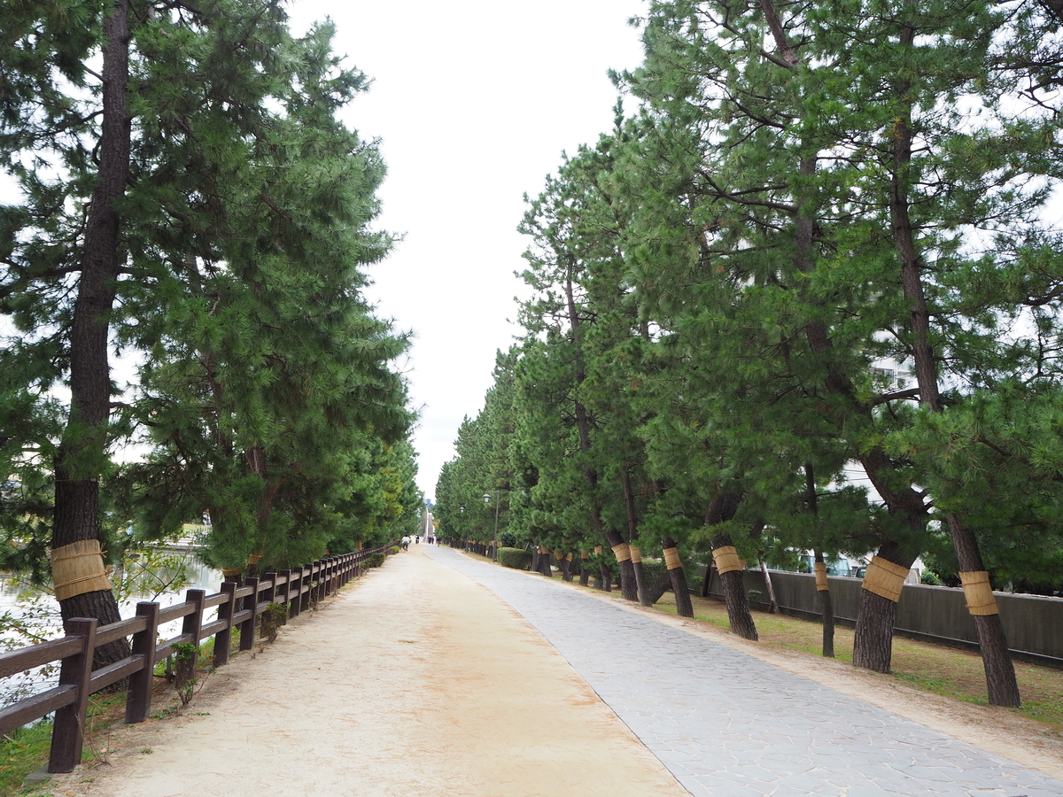 f:id:kayukiren:20191114224402j:plain f:id:kayukiren:20191114224402j:plain