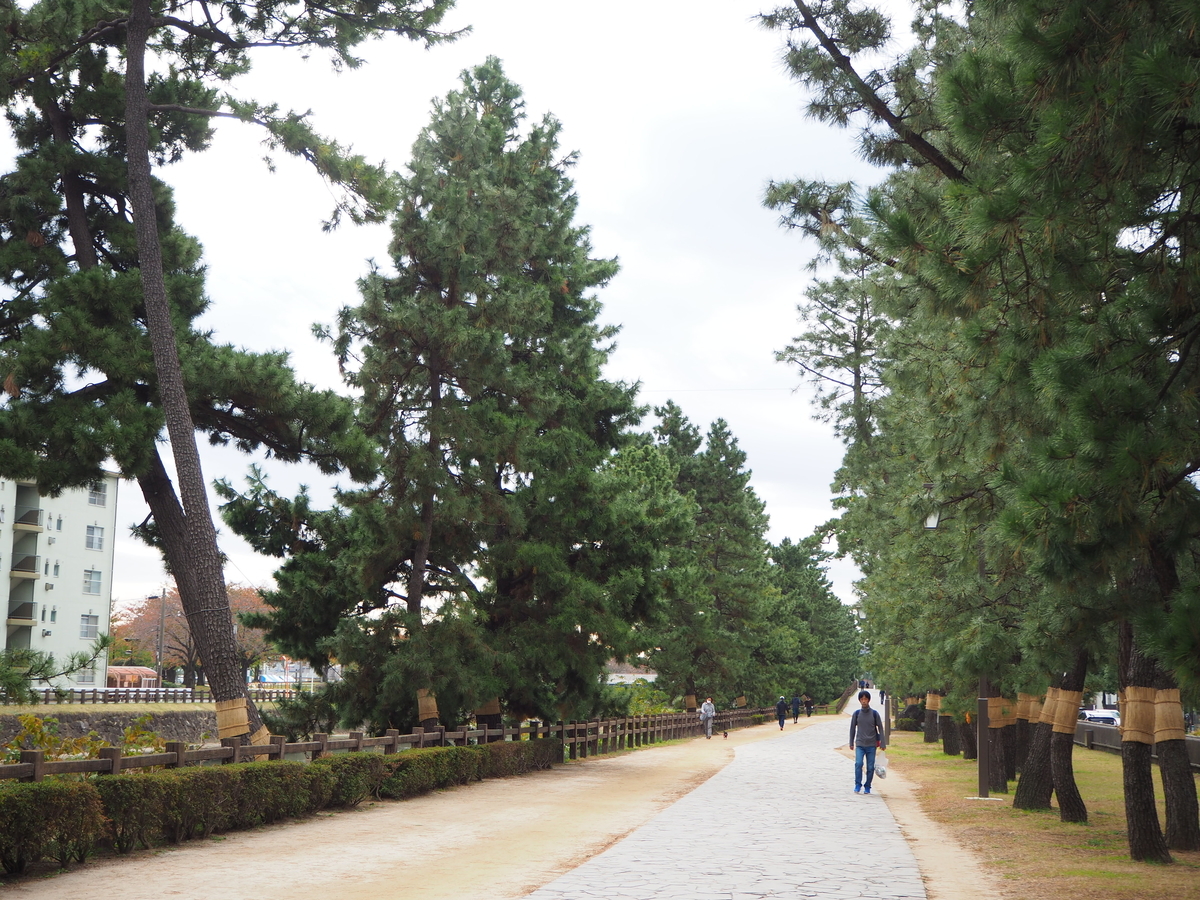 f:id:kayukiren:20191114231817j:plain f:id:kayukiren:20191114231817j:plain