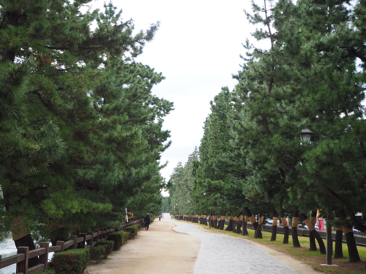 f:id:kayukiren:20191114231823j:plain f:id:kayukiren:20191114231823j:plain