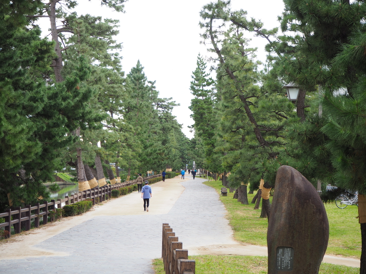 f:id:kayukiren:20191115235425j:plain f:id:kayukiren:20191115235425j:plain