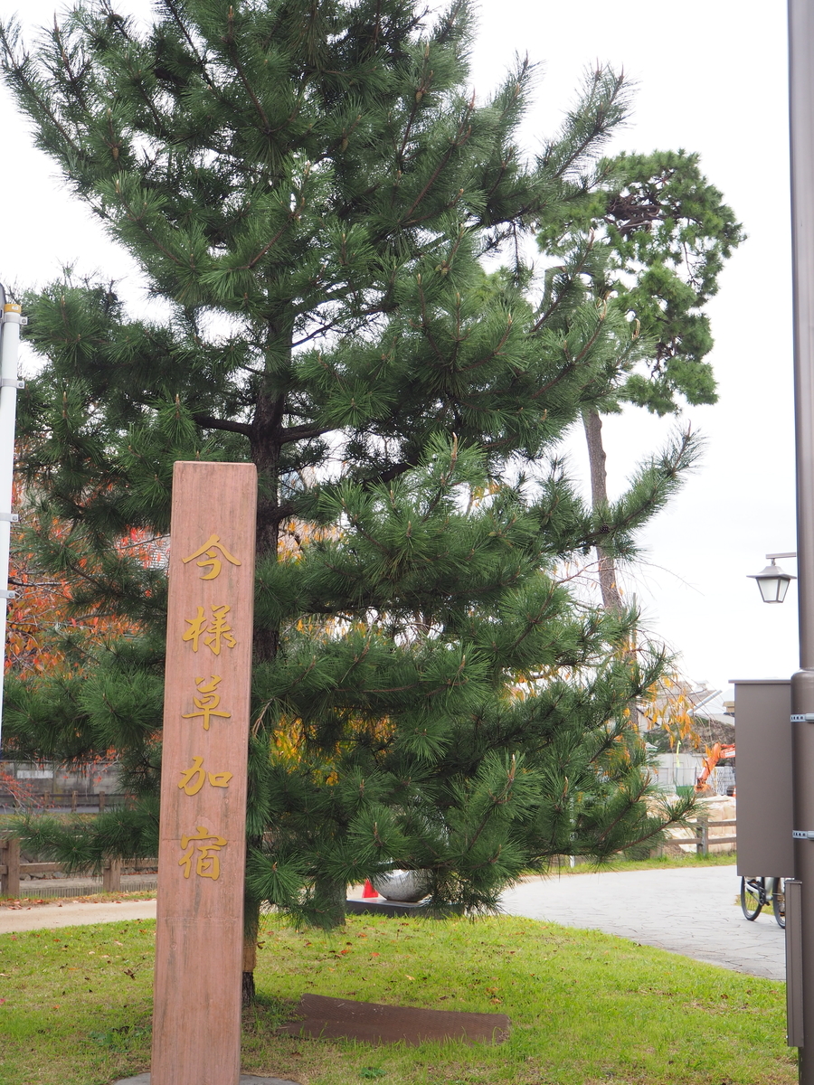 f:id:kayukiren:20191116003429j:plain f:id:kayukiren:20191116003429j:plain