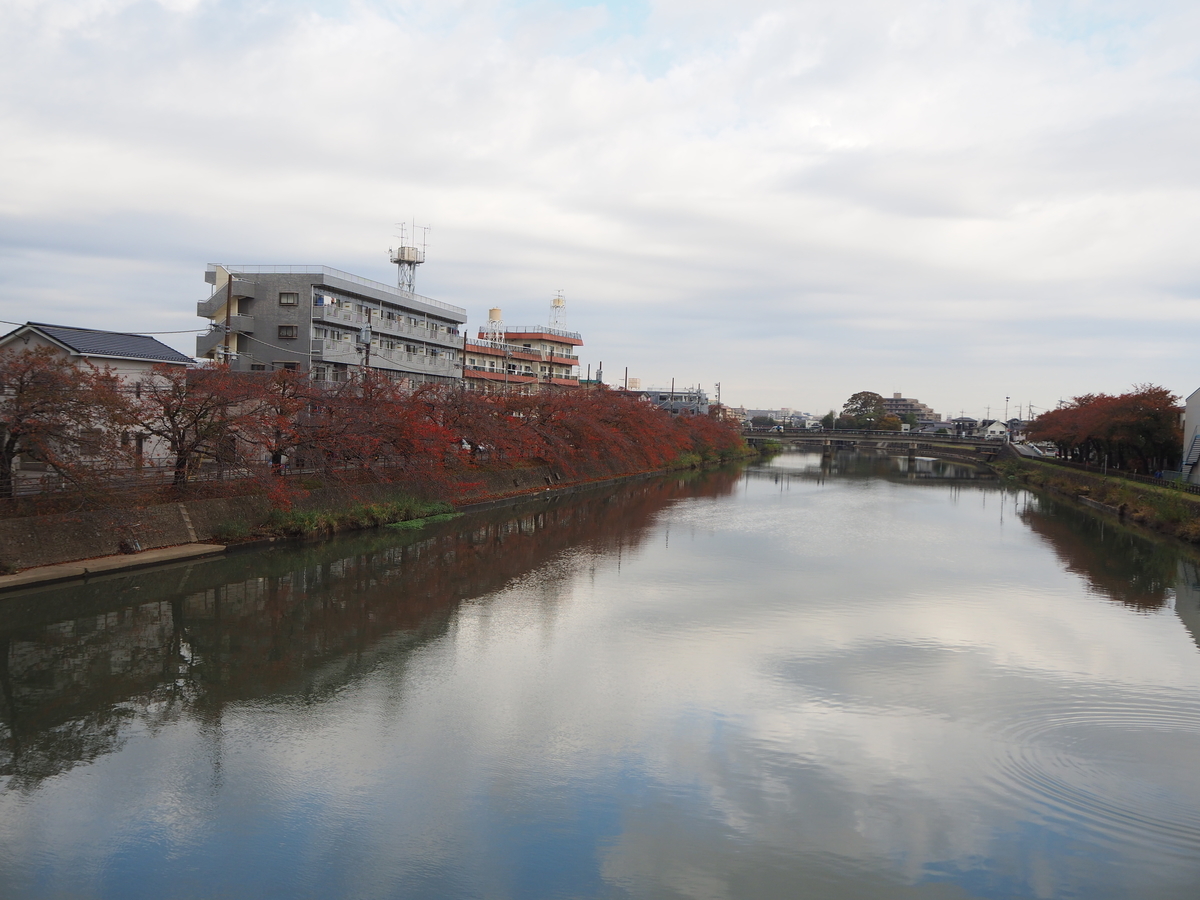 f:id:kayukiren:20191116010038j:plain f:id:kayukiren:20191116010038j:plain