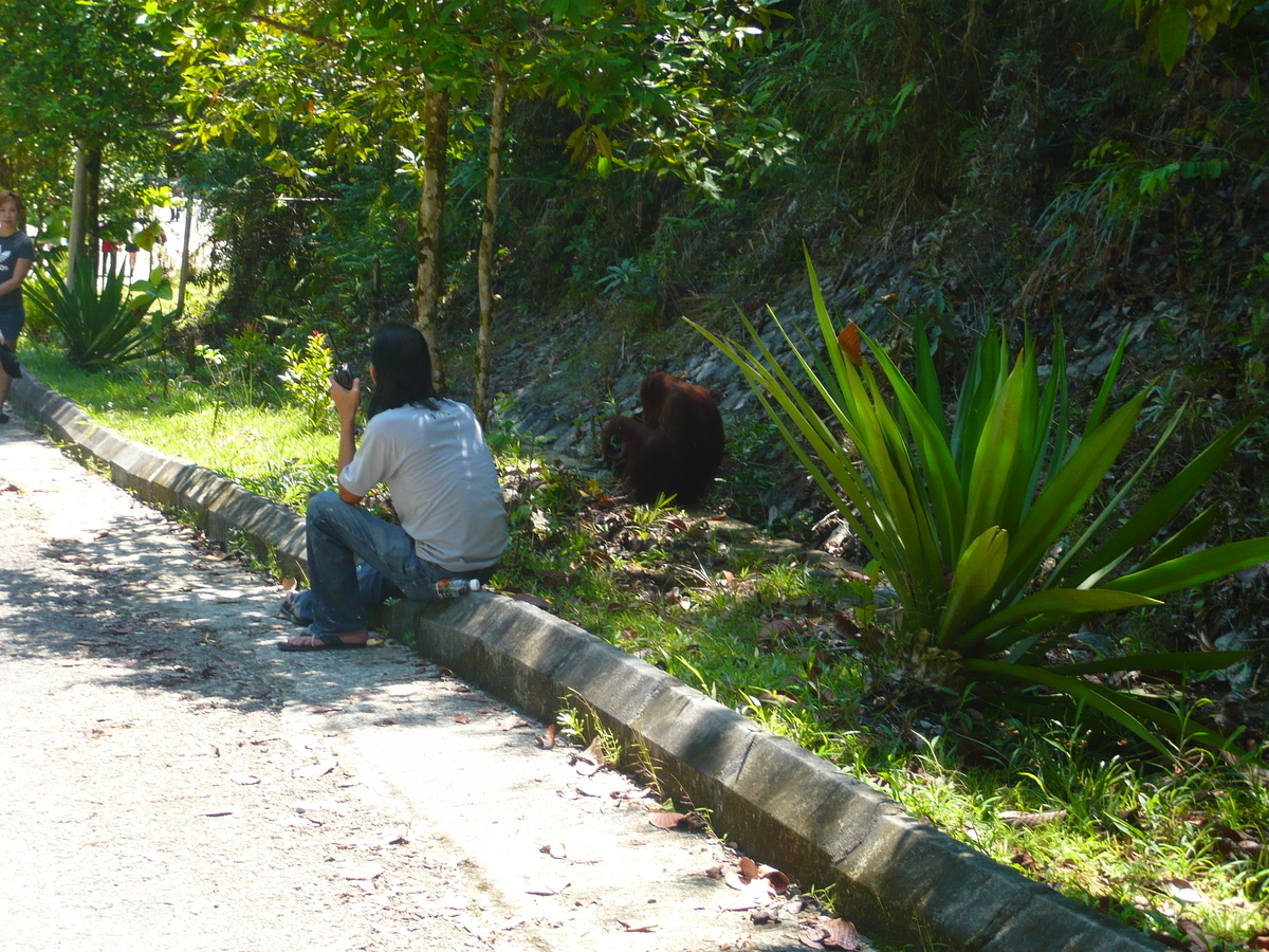 f:id:kayumanis:20210308100909j:plain