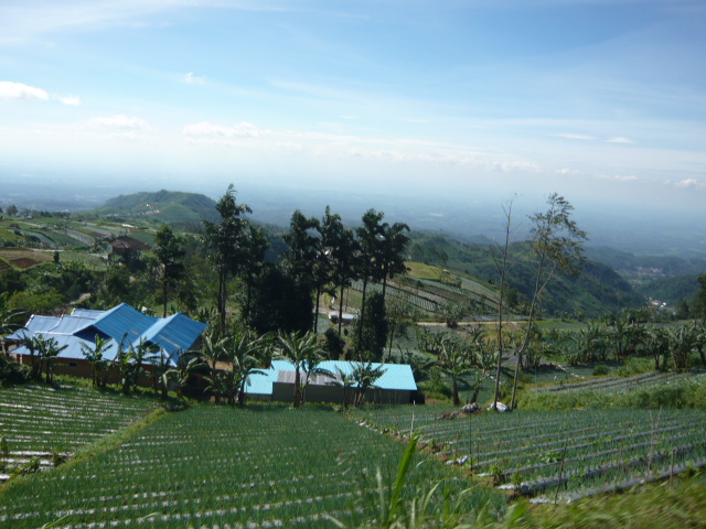 f:id:kayumanis:20210312102130j:plain