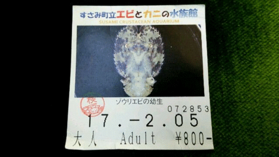 イメージ 1