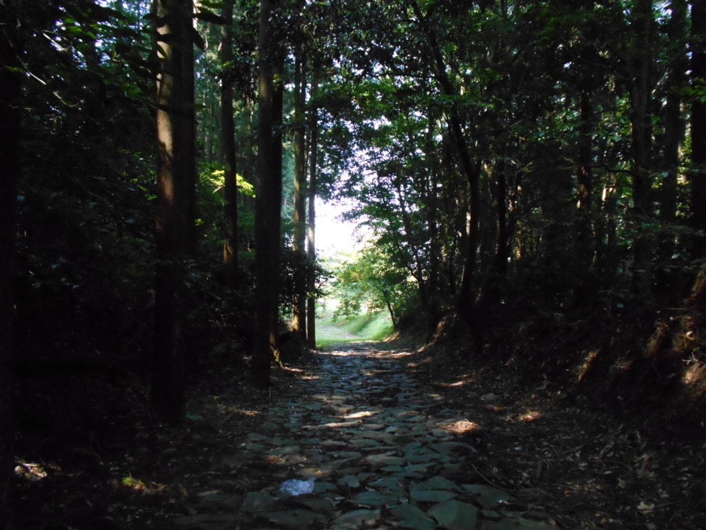 f:id:kaz-mt-wisteria:20180825230619j:plain f:id:kaz-mt-wisteria:20180825230619j:plain