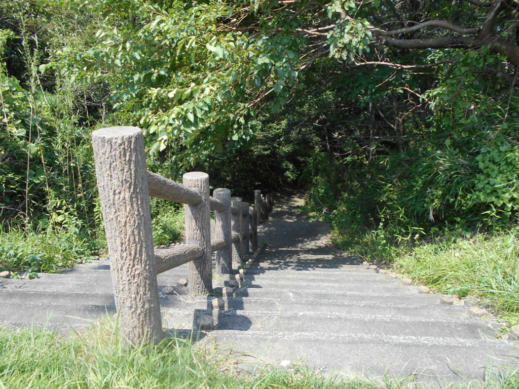 f:id:kaz-mt-wisteria:20180825231838j:plain f:id:kaz-mt-wisteria:20180825231838j:plain