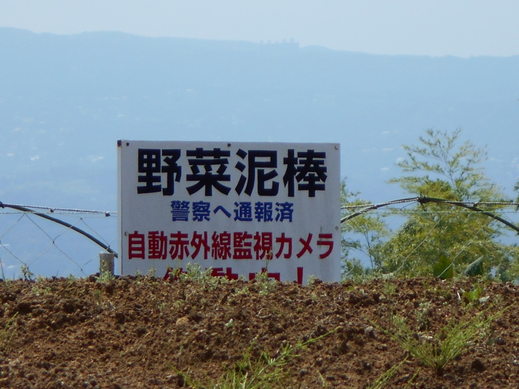 f:id:kaz-mt-wisteria:20180825232601j:plain f:id:kaz-mt-wisteria:20180825232601j:plain