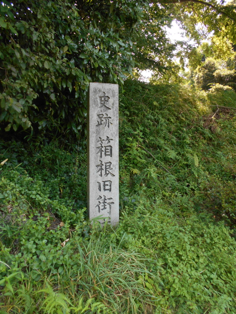 f:id:kaz-mt-wisteria:20180825232855j:plain f:id:kaz-mt-wisteria:20180825232855j:plain