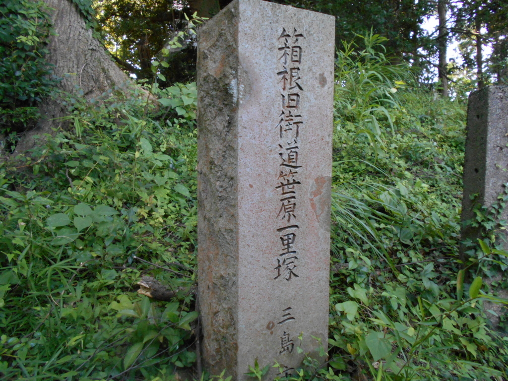 f:id:kaz-mt-wisteria:20180825233823j:plain f:id:kaz-mt-wisteria:20180825233823j:plain