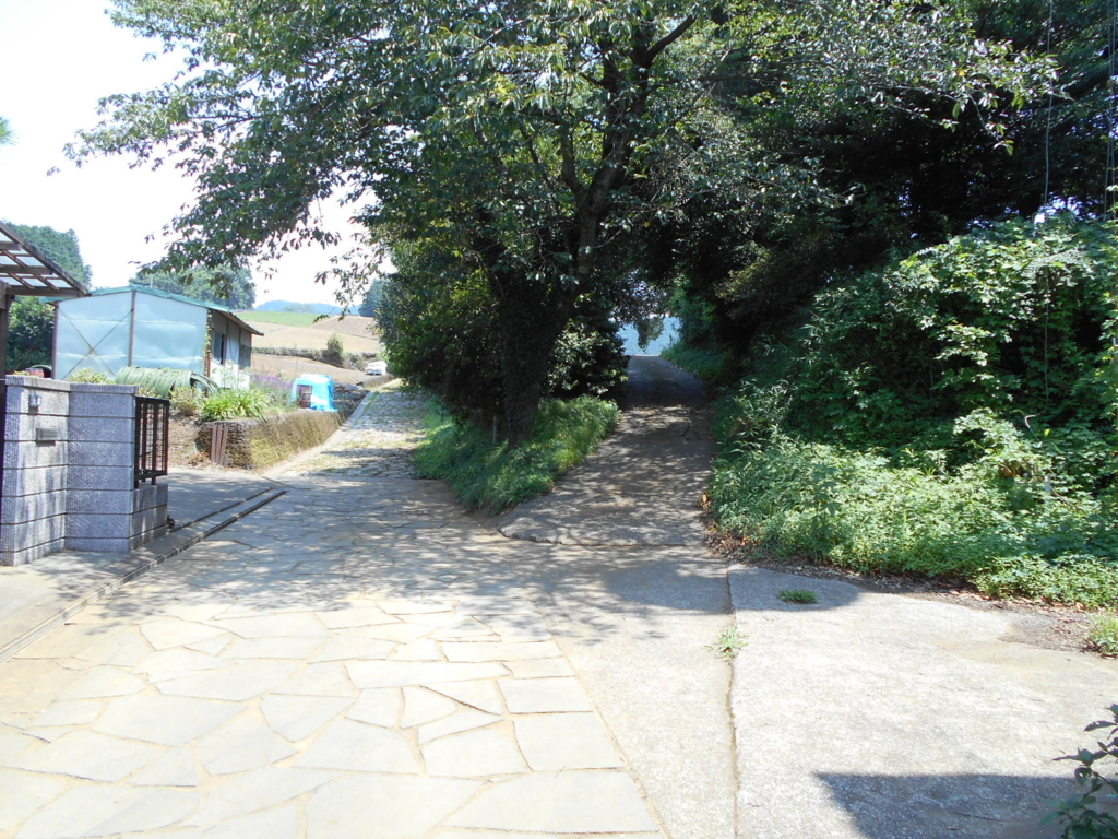 f:id:kaz-mt-wisteria:20180825233949j:plain f:id:kaz-mt-wisteria:20180825233949j:plain
